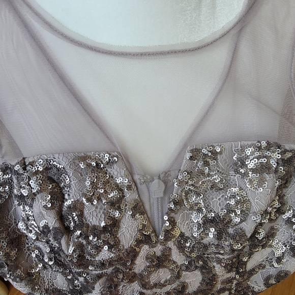 BCBG MaxAzria Gray Lace and Sequin Dress Size 0 - Picture 10 of 10